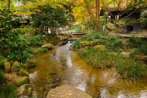 杭州经典登山路线——问茶古道、龙井寺