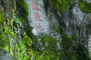 杭州经典登山路线——凤凰山、馒头山